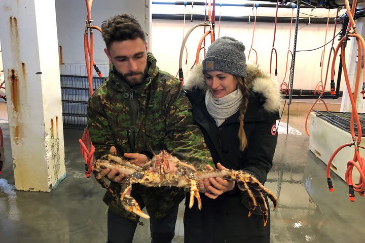 King crab and seafood factory tour with seafood tasting image