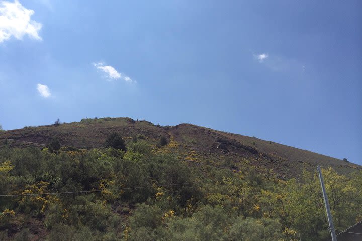 Pompeii-Herculaneum-Vesuvius tour from Sorrento with licensed guide included image