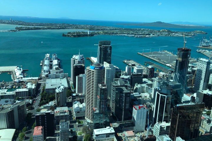 Auckland City Sightseeing by hourly booking  image