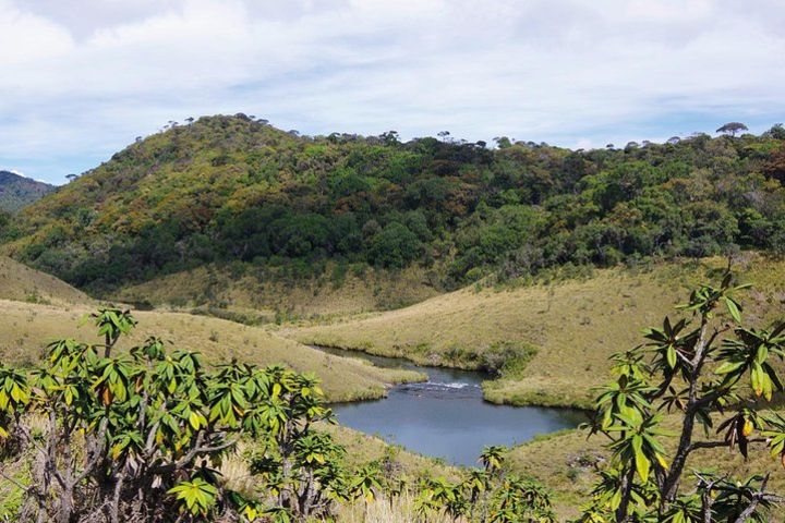 kandy To Nuwara Eliya (Horton Plains National Park) image