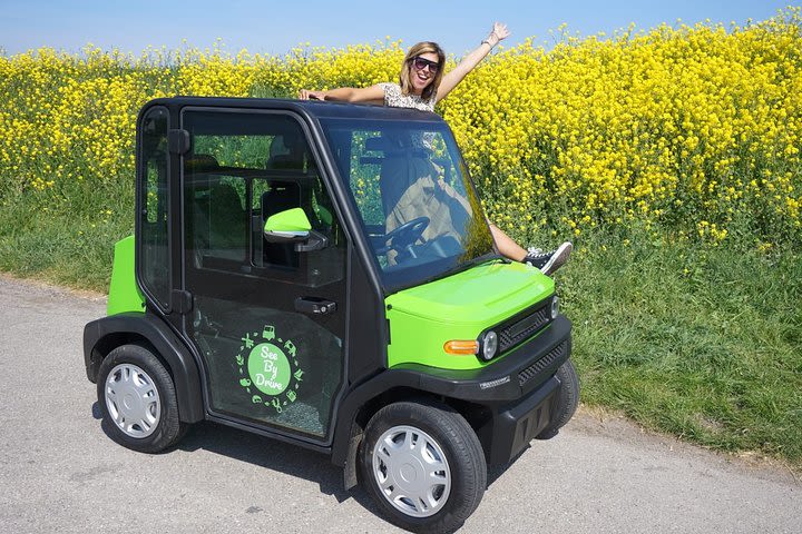 E-car for a day! Unique corona proof outing for the whole family image