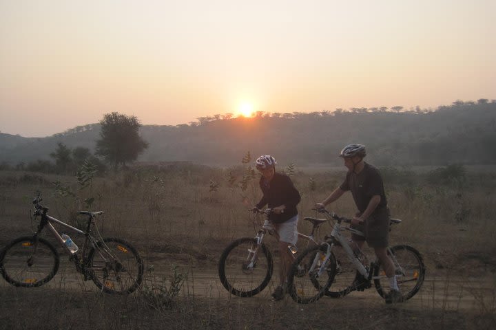 Jaipur Village Cycling Safari image