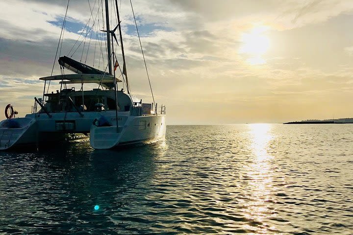 Marbella.Sunset 2H in a small group catamaran with dolphin watching image