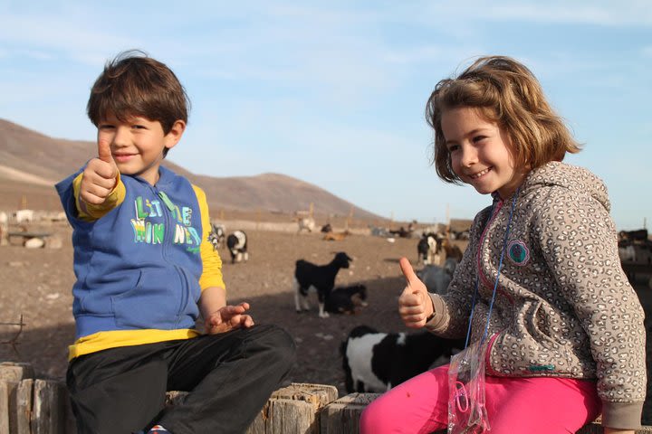 Quad Or Buggy Explorer In Caleta De Fuste image