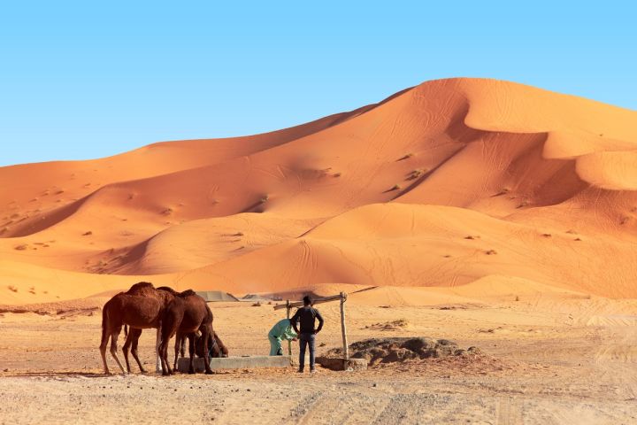 2 days tour from Fes to Merzouga desert image