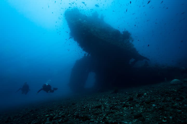 Day Trip certified divers - 3 Dives in Tulamben (pick-up & drop-off included) image