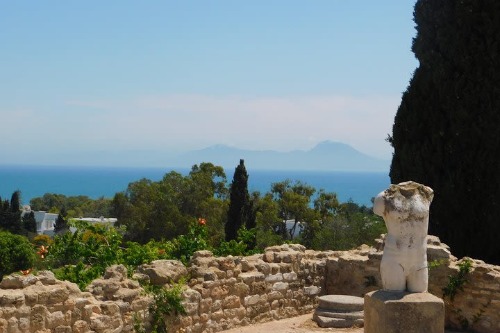 Half-day guided bike tour of Carthage archeological site image