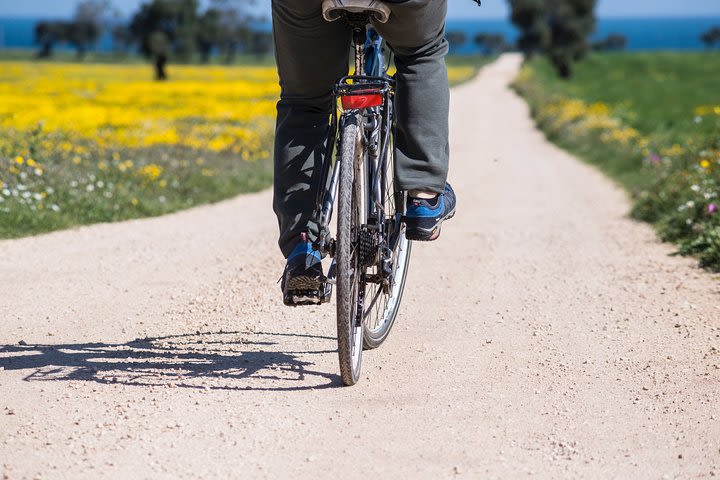 Bike tour among ancient olive trees of Dune Costiere, breakfast in the historical center and transfer from Ostuni image