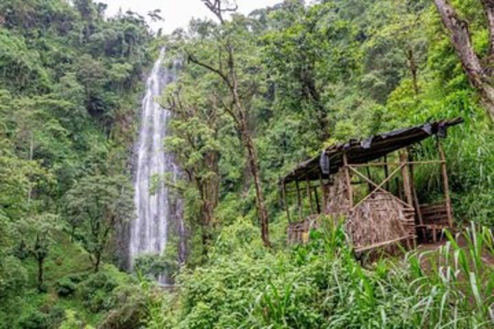 Materuni Waterfalls, Coffee & Cultural Tour Day trip image