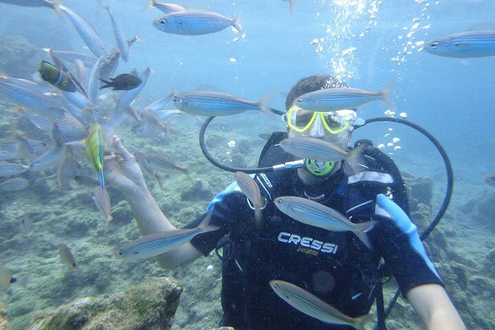 Diving At Galleon and Chimney From Marmaris image