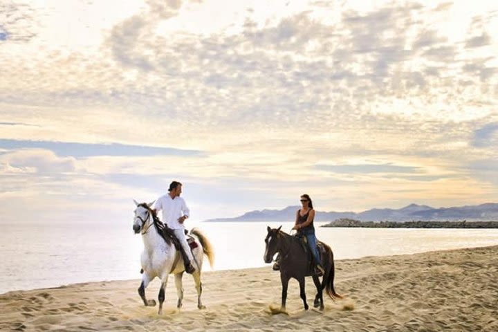 Horseback Riding on The Beach and Through The Desert!  image