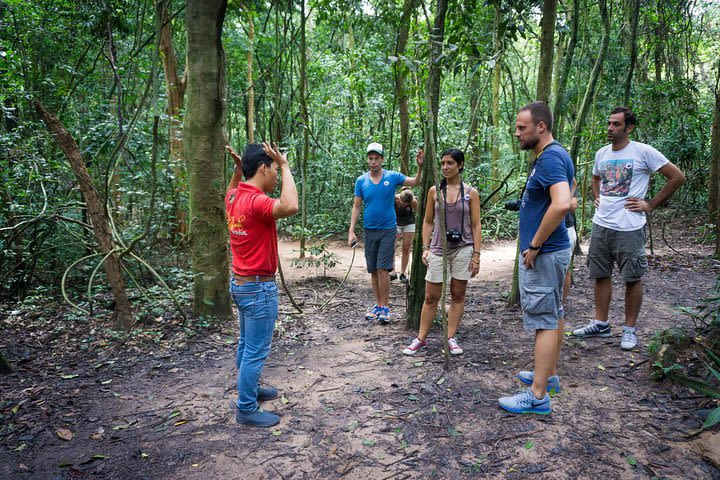 Cu Chi Tunnels Small Group Tour - Morning trip with English guide image