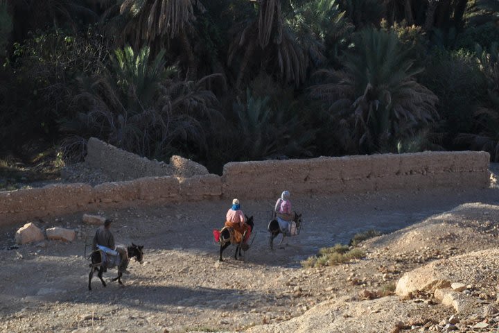 Exotic Morocco Imperial Cities image