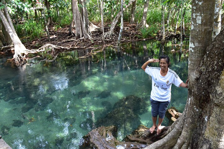 Sea Cave Kayaking at Khao Garos and Swimming at Tha Pom Klong Song Nam image