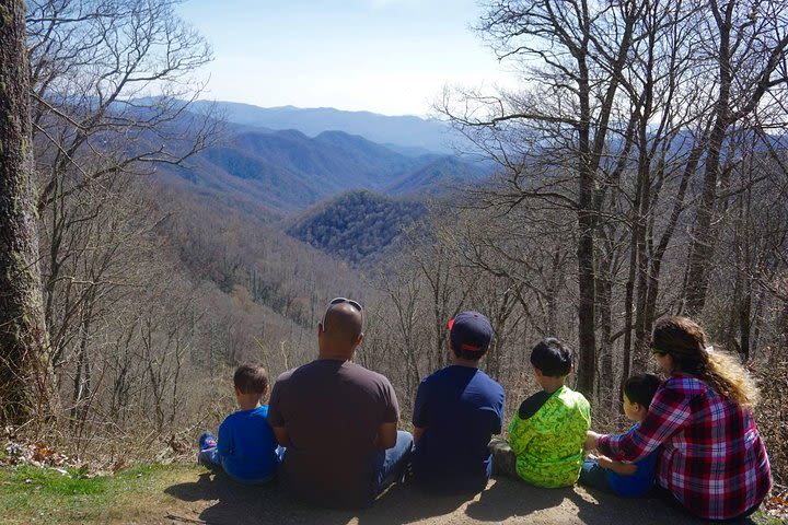 Smoky Mountain Guided Scenic High Van Tour image