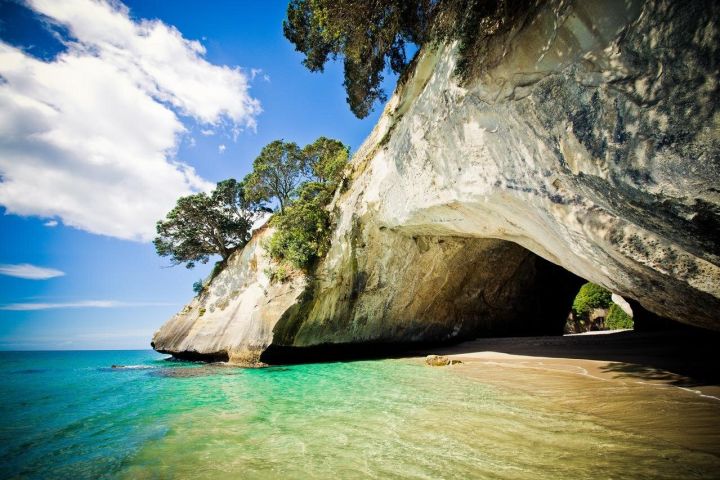Cathedral Cove & Coromandel Peninsula Day Tour image