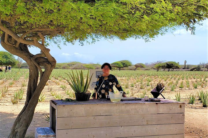 Aruba Half Day Island Tour  image