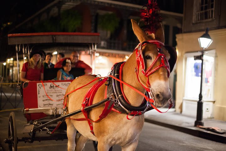 New Orleans Small-Group Haunted History Carriage Tour image