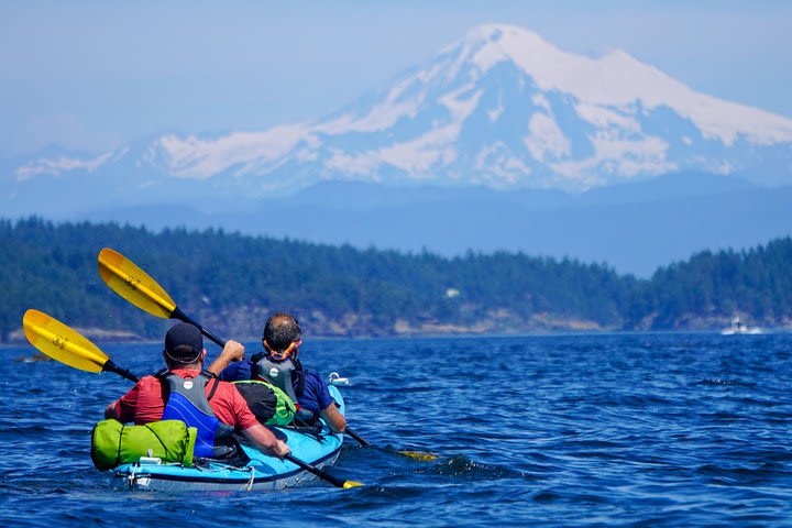 3-Hour Sea Kayak Tour in the San Juan Islands image