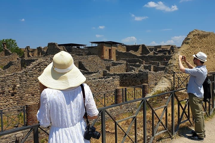  Skip the line Private Pompeii and Herculaneum Tour with Local Guide image