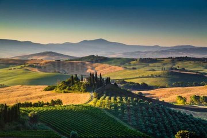 Bella Toscana Private tour: San Gimignano & 2 wineries Chianti, SuperTuscan wine image