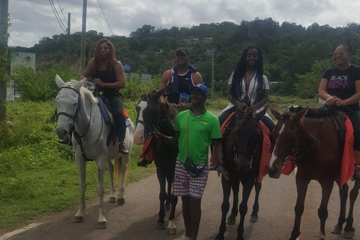 Horseback Riding from Runaway Bay  image