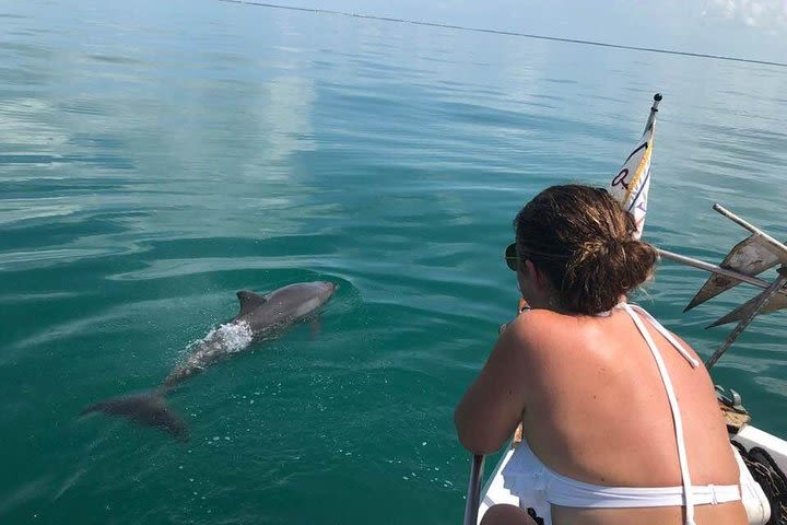 Private Afternoon Charter Boat Tour from Key West image