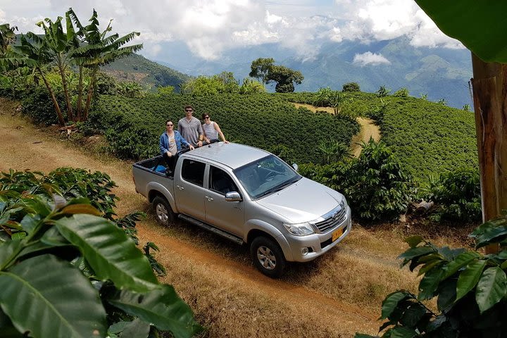 Medellín Coffee Tour to Concordia image