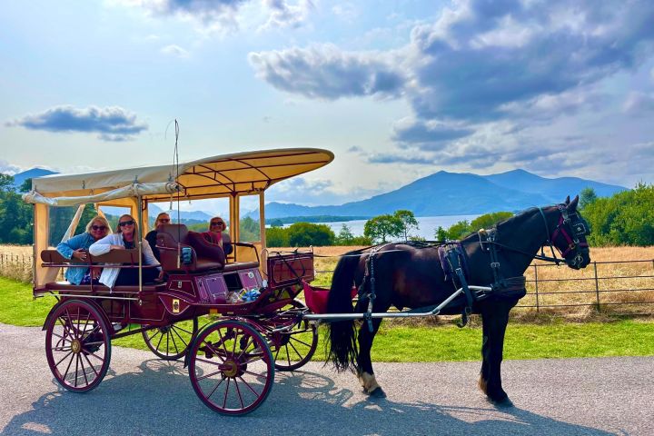 Killarney National Park Horse-Drawn Carriage Tour image
