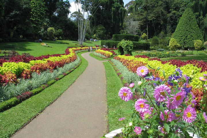 Kandy City Tour from Colombo Port image