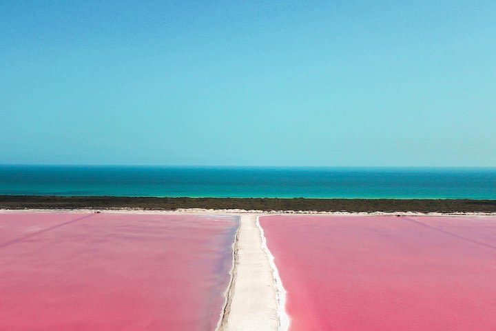 Explore Las Coloradas & Rio Lagartos image