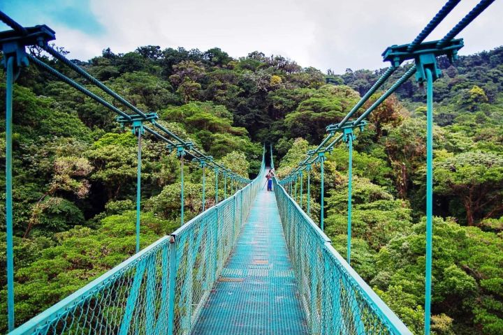 Monteverde Hanging Bridges Day Trip image