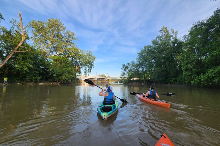 Kayak Rentals image