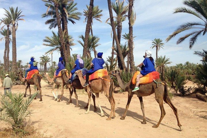 Marrakech: Half-Day Desert Quad & camel Tour image