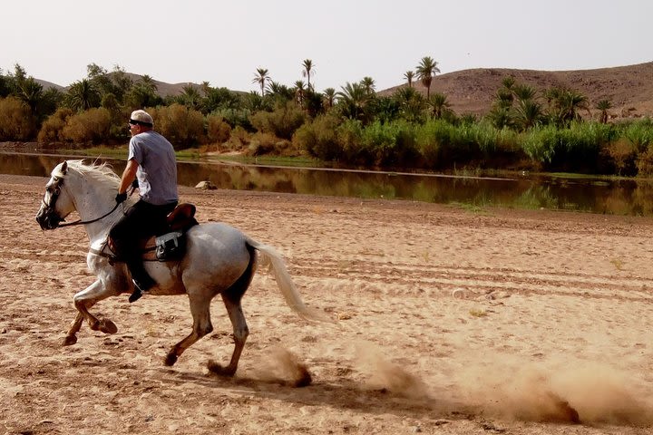 Ride the cast of famous Hollywood movies on set in their natural environment! image