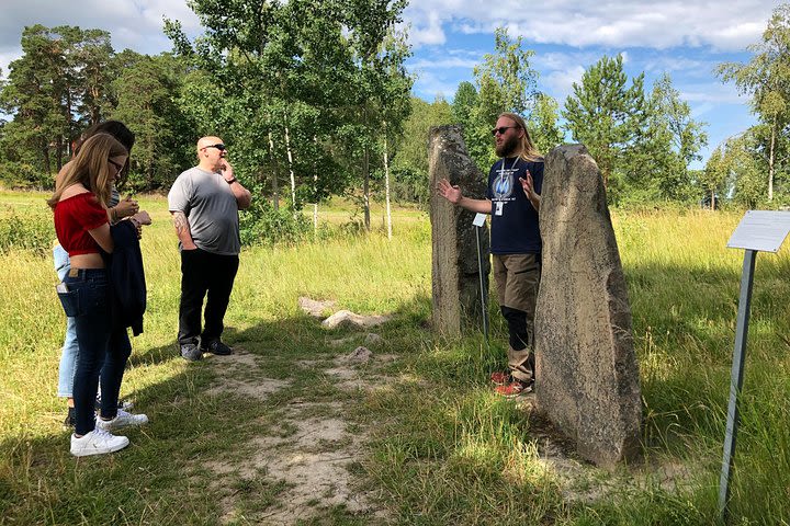 Viking History Small Group Trip from Stockholm Including the Runic Kingdom: Short Day image