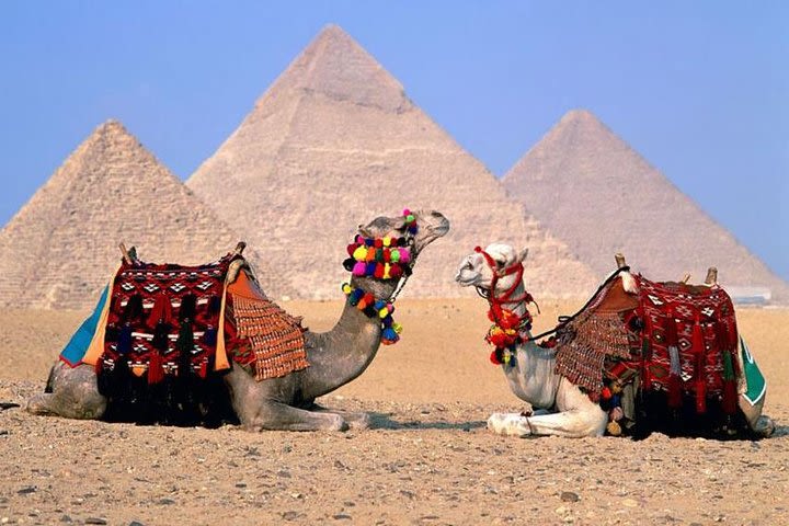 Cairo Over Day Visit Pyramids, Egyptian Museum, Sphinx Full Day, Lunch -Hurghada image