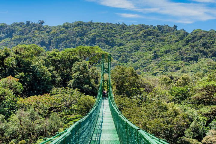 Selvatura Park Eco Adventure Tour of Monteverde image