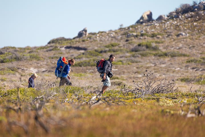 Cape Point Nature Tour & Hike (Private) image