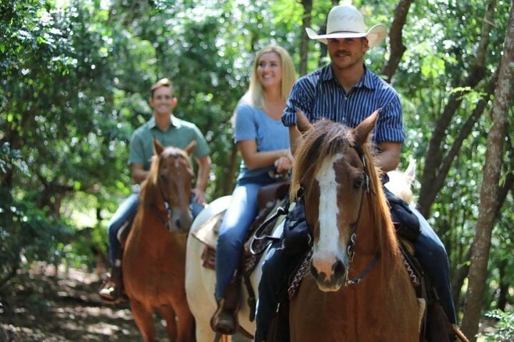 1 Hour Scenic Horseback Ride image