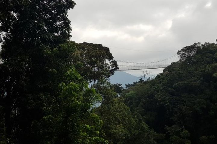 Two-day Nyungwe Canopy and Kivu Lake Adventure image