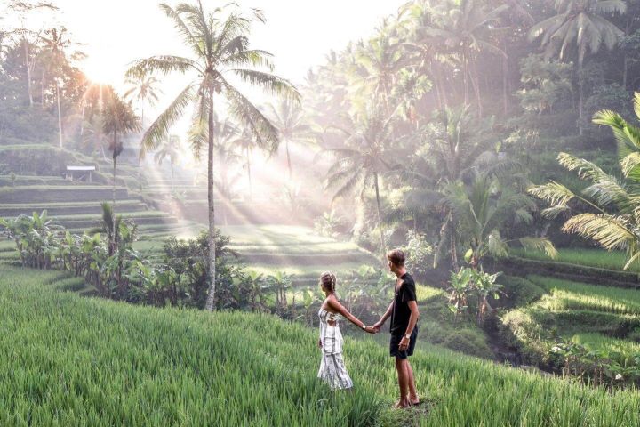Magical Ubud Rice Terrace Tour image