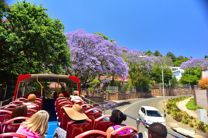 City Sightseeing Hop-On Hop-Off Johannesburg image