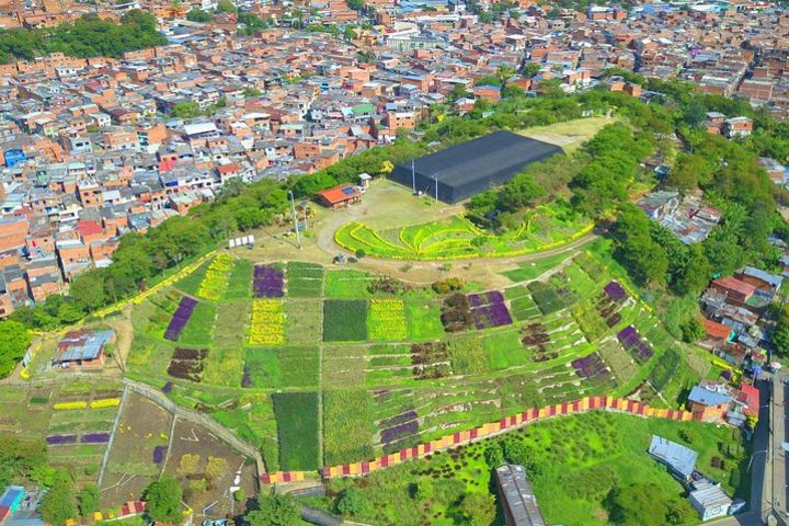 Private tour: From Trash to Flowers - The Moravia Barrio in Medellin image