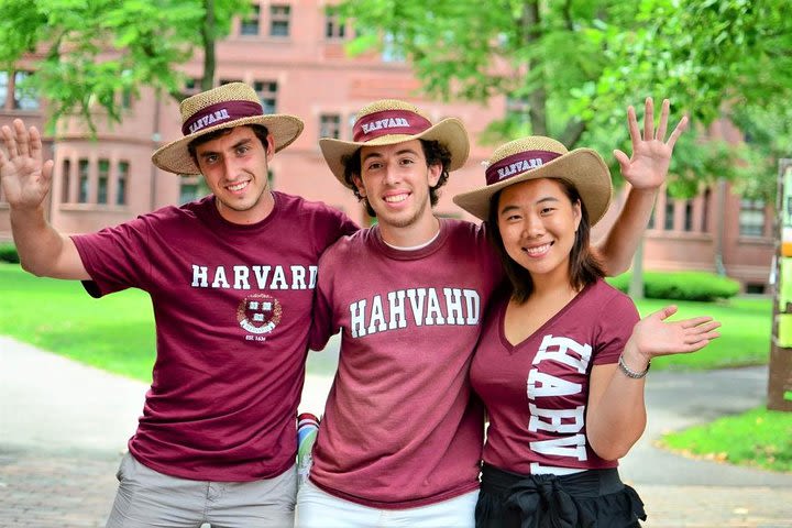 Harvard University Campus Guided Walking Tour image