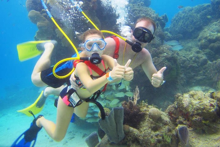 SNUBA Cozumel Underwater Adventure inside Chankanaab National Park image