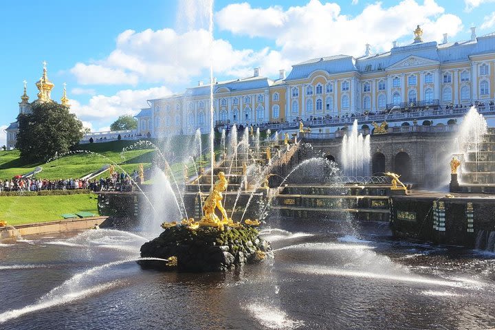 Gems of St Petersburg in 1 Day - Private Shore Excursion image
