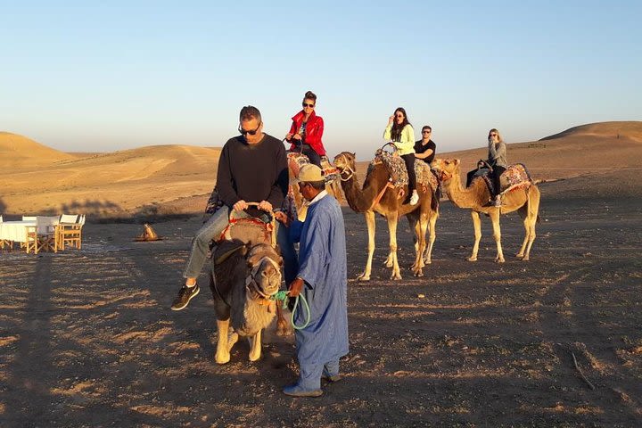 Atlas Mountains & Camel Ride (Day trip from Marrakech) image
