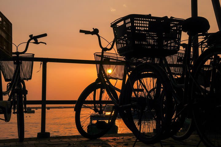 Enjoyable Bike Ride around Nyaung Shwe Country-side image