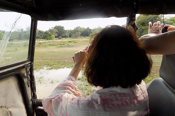 Kumana National Park Wildlife Safari image